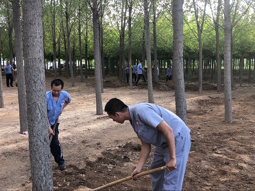 万和通物流有限公司组织员工开展集体劳作活动